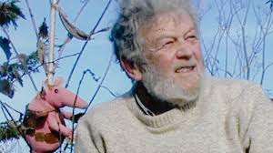 Peter Firmin's Small Worlds