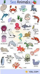 Animal Names Types Of Animals List Of Animals Animal Pictures 7esl