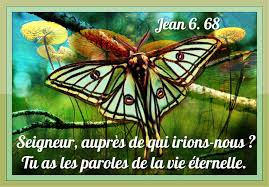 Jean 6 68 Texte Biblique Biblique Paroles De La Vie