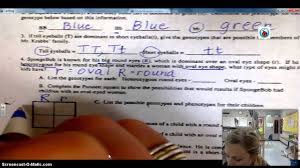 Maybe you would like to learn more about one of these? Spongebob Genetics Quiz Review Youtube