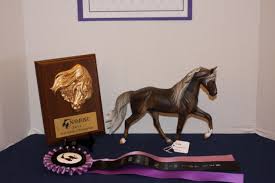 NAN 2011: Results For Class 5008: CM Breed Halter