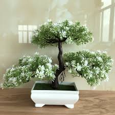 Cactus and bonsai pot assortment. New Ganoderma Tree Lotus Pine Tree Simulation Plant Flower Bonsai Set Small Potted Green Plant Home Decor Table Top Decoration Crafts Walmart Com Walmart Com