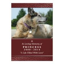 Pet Memorial Card 5 X 7 Red God S Garden Pet Memorials Memorial Cards Dog Memorial