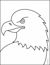 Maybe you would like to learn more about one of these? How To Draw A Bald Eagle Head Art Projects For Kids