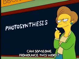 Do regional variations in the pronunciation of photosynthesis effect the syllable count? 5 Apps And Websites To Help You With Pronouncing Words In English America House Kyiv