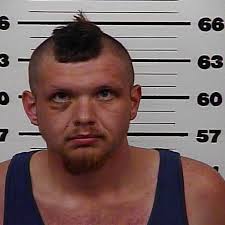 Hawkins woman accused of importing two pounds of gravel from China