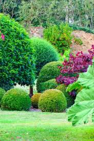 Collection D Hydrangeas Dans Un Jardin De Passionne Les Plus Beaux Jardins Jardins Beaux Jardins