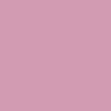 Ral 350 70 25 Coral Pink Aerosol Spray Paint 1k 2k 400ml