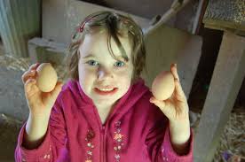 Girl and eggs