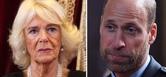 La famille royale déchirée : William, Camilla et Charles