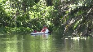 One of america's largest springs is protected within silver springs state park, and visitors can explore the area's natural beauty by boat, foot or horseback. Silver Springs State Park Florida Youtube