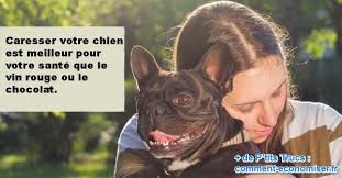 Selon Une Etude Caresser Un Chien Est Meilleur Pour Votre Coeur Que Le Vin Rouge Ou Le Chocolat Chien Vin Rouge Vin