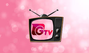 Estado de seguridad del apk. Free Gazi Tv Live Apk Download For Android Getjar