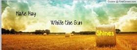 Video shows what make hay while the sun shines means. Essay On Make Hay While The Sun Shines Brainly In