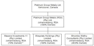 Platinum Group Metals Ltd Exhibit 99 1 Filed By
