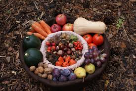 RÃ©sultat de recherche d'images pour "fruits et lÃ©gumes octobre"