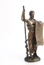 Image result for Hippocratea goetzei