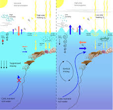 Two queensland airports and a string of venues in cairns are subject to coronavirus exposure alerts as health authorities try to ensure . Frontiers Marine Heatwave Hotspots In Coral Reef Environments Physical Drivers Ecophysiological Outcomes And Impact Upon Structural Complexity Marine Science