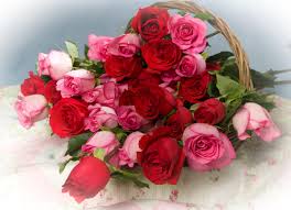 We did not find results for: Wallpaper Red Valentine S Day Pink Basket Lot Petal Land Plant Flowering Plant Floristry Garden Roses Rose Family Flower Bouquet Flower Arranging Floral Design Cut Flowers Artificial Flower 5320x3860 Goodfon