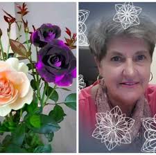 SA JKA Karate Association