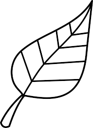 These are helpful for your babies who love to create their own arts and crafts. Google Image Result For Http Www Sweetclipart Com Multisite Sweetclipart Files Nature Seasons Lea Black And White Leaves Leaf Clipart Black And White Drawing
