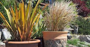 Grass is also one of the oldest living organisms ever discovered. Easy Landscaping With Ornamental Grasses Gardener S Path