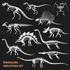 3d viewer is not available. Free Dinosaur Skeleton Vectors 200 Images In Ai Eps Format