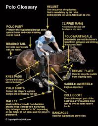Polo Saratogasaddlery