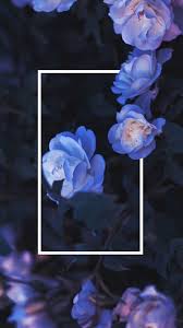 Imgur Aesthetic Iphone Wallpaper Flower Wallpaper Pretty Wallpapers