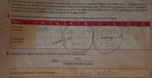 In the culture at that point in our experiment, 42 × 10 5 = 4.2 × 10 6 cfu/ml. Microbiology Standard Plate Count Viable Chegg Com
