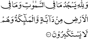Poin kedua dari surat an nahl ayat 125 mengisyaratkan bahwa kewajiban kita adalah berdakwah, bukan memberi hidayah. Al Nahl Ahmadiyya Muslim Jamaat Deutschland