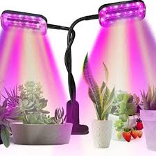 4,4 von 5 sternen 5. Led Lampen Fur Sukkulenten Warum Sukkulenten Kunstliches Licht