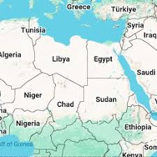 Image result for Tridactyle scottellii