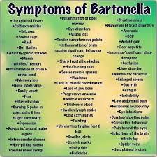 Symptoms Of Bartonella A Very Common Co Infection With Lyme Disease Chronicillness Lyme Disease Lyme Disease Awareness Disease Awareness