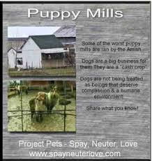 We work to put an end to puppy mills through. Dog Breeding Legislation Fab 4 Dogs