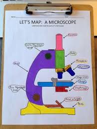 A School Called Home A View Through The Microscope Science Classroom Science Teaching Resources Biology Lessons
