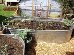 Check spelling or type a new query. Metal Planters Galvanized Raised Beds Contemporary Garden Seattle By Wedesign Inc Houzz