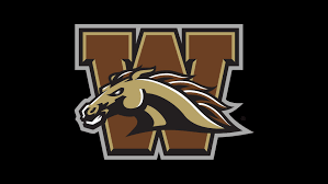 In all, the simulation center team hosted a total of 871 events and more than 15,000 learners last year, and more than 71,000 learner hours were logged. Western Michigan Athletics Covid 19 Response And Updates Western Michigan University Athletics