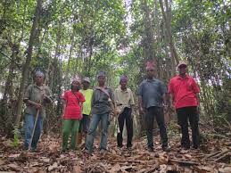 Komitmen yang bertulis terhadap perkhidmatan yang dijalankan terhadap rakyat. Jpns Wants To Cut Down 97 Of Kuala Langat North Forest Reserve