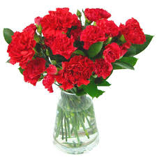Flowering trees and shrubs deliver vibrant color to the yard, but most varieties bloom for only weeks at a time. Festive Red Carnations Fresh Flowers Free Uk Delivery