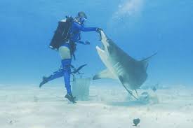 Emma louise onlyfans Emma Louise Nude Nipple.