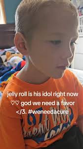 Today me and my 7 and 9 year old are going to see Jelly Roll in Hershey. My  sweet little boy in the video loved Jelly Roll so much. He was his idol. He  wanted nothing more but to meet him and ...