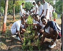 World environment day is falling on this friday, june 5, 2020, and is celebrated on june 5th every year. World Environment Day Wikipedia