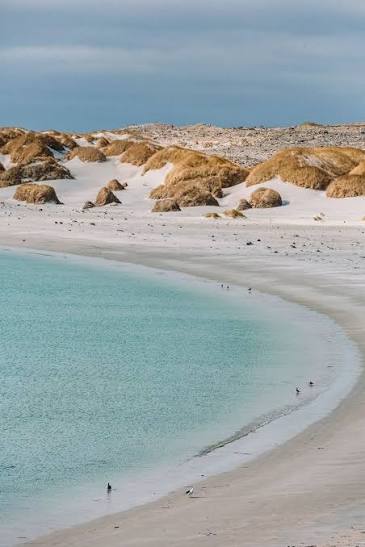 Views like this! https://www.falklandislands.com/