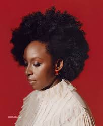 Happy 44th Adichie: I will not stop raving about you