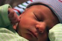 Wondering and Wandering.: Baby Boom.