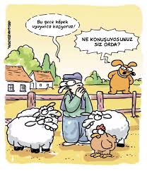 Bu Gece Kopek Uyuyunca Kaciyoruz Karikatur 2020 Karikatur Komik Mizah