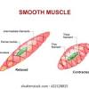 In this video i have shown the simplest way of drawing muscle drawing. 1