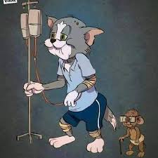 Kép