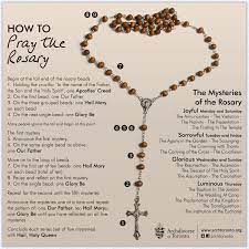 Have fun making trivia questions about swimming and swimmers. Archdiocese Of Toronto Rosary Praying The Rosary Catholic Beliefs